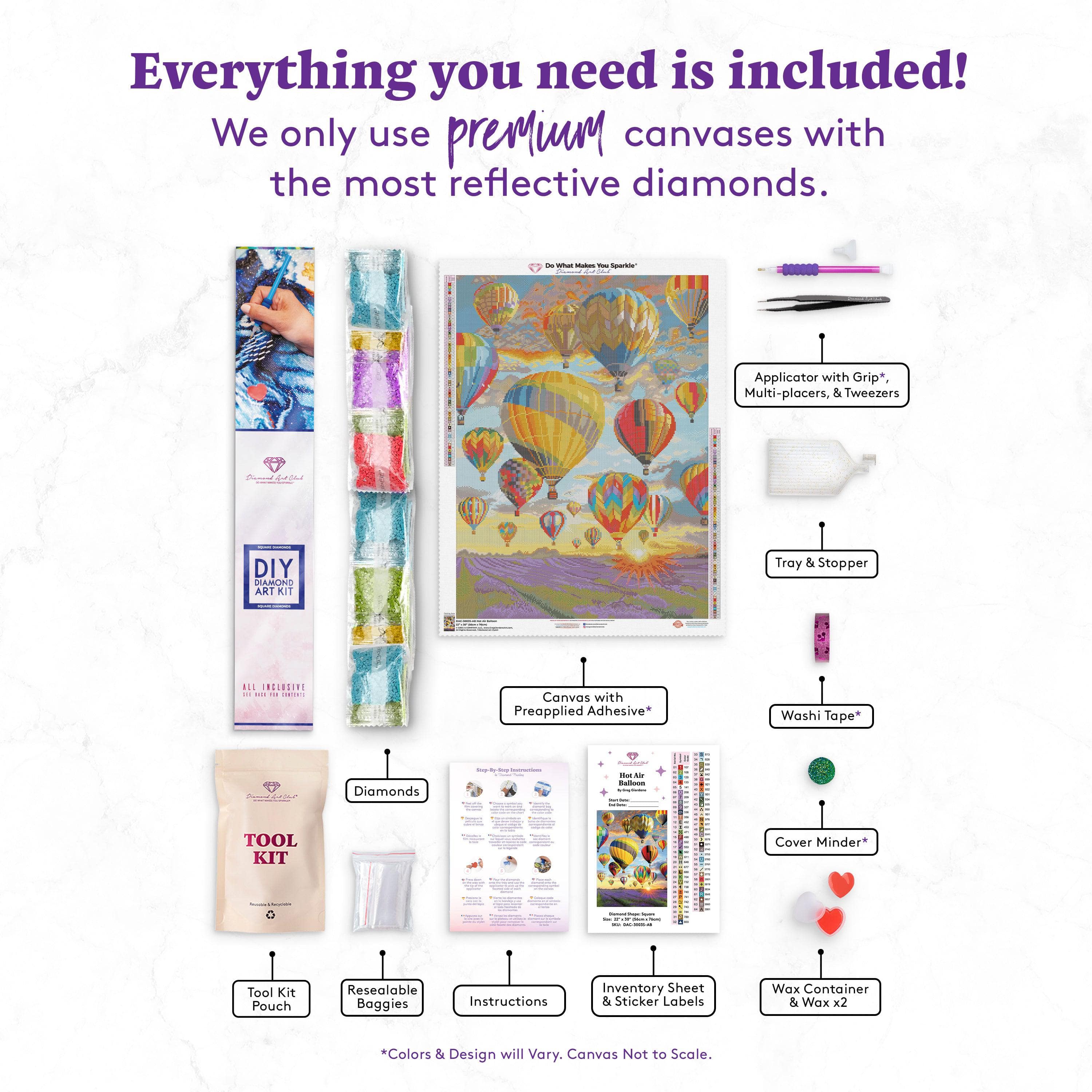 Hot Air Balloon - Image 3