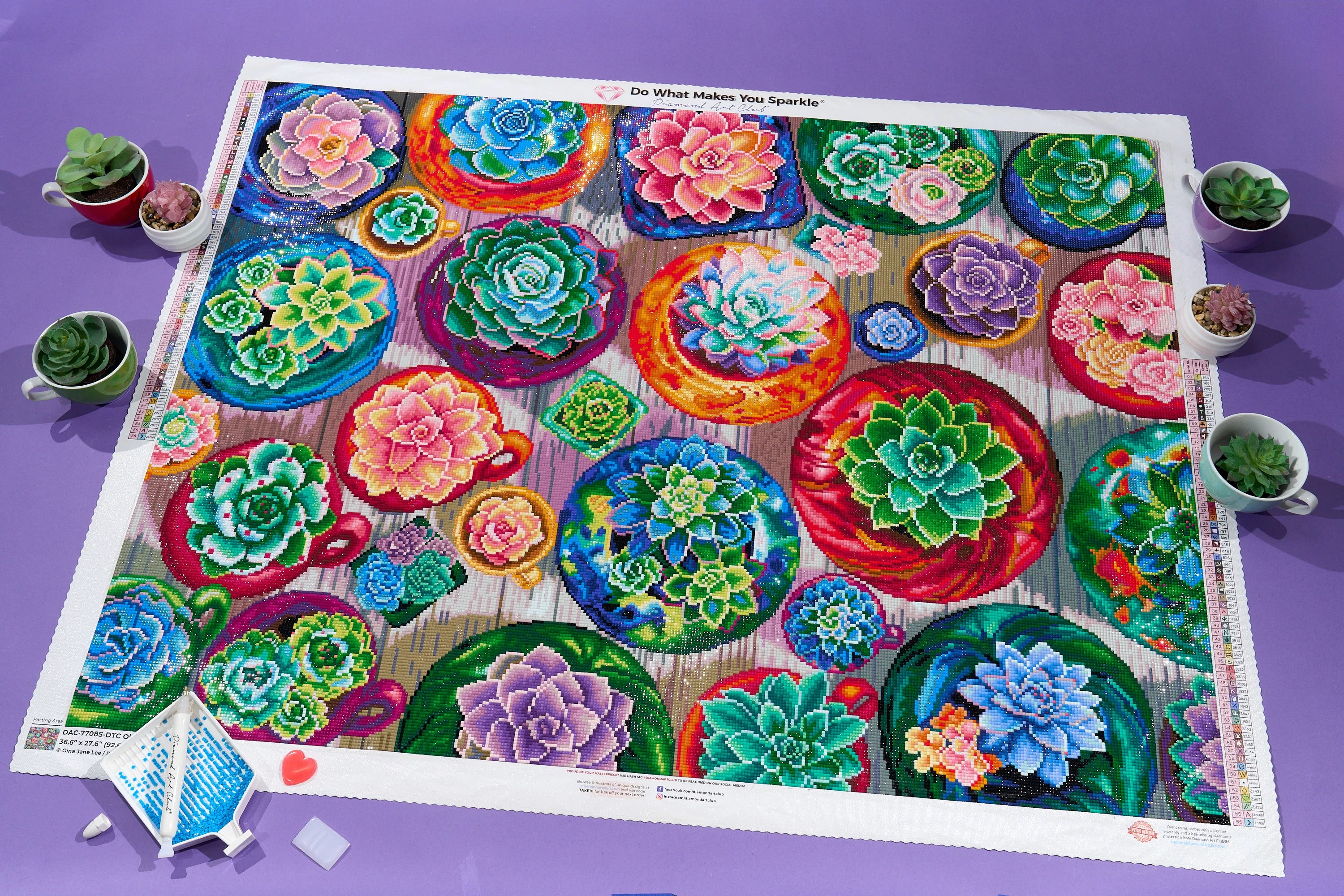 Old Tucson Pottery Garden - Image 7