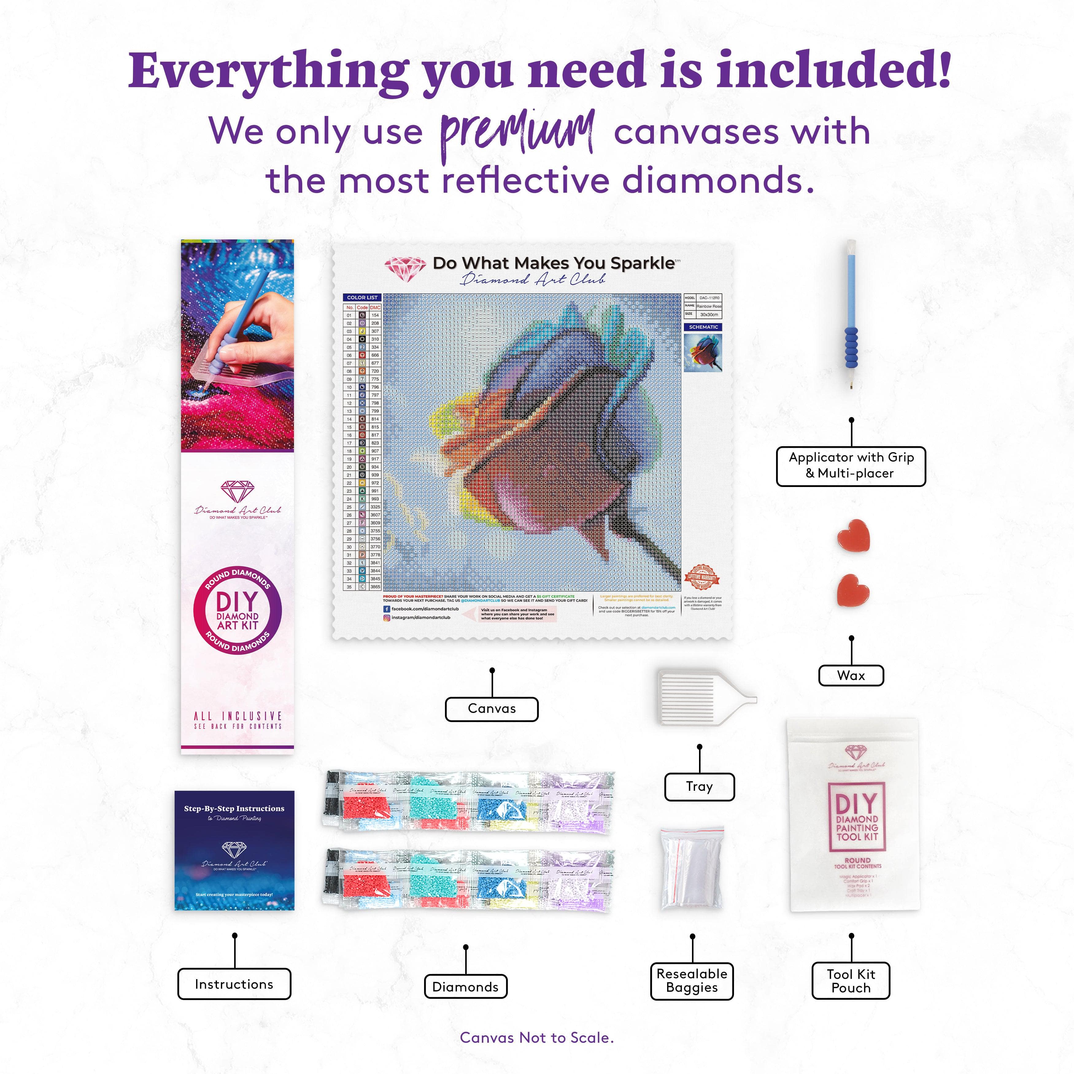 Rainbow Rose - Image 4